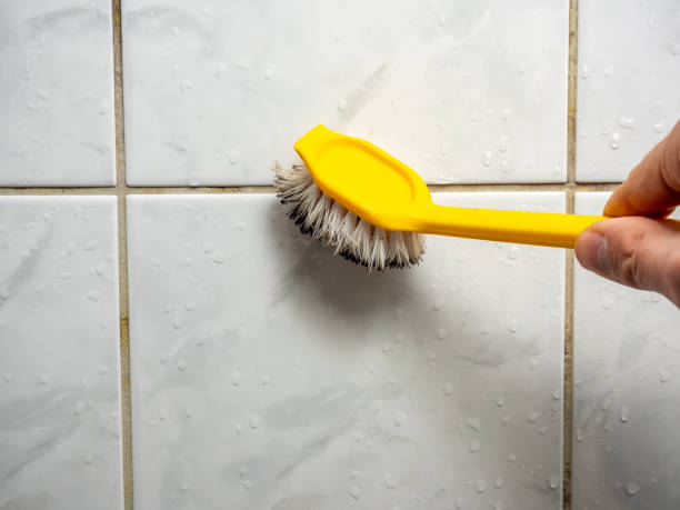 Best Emergency Mold Removal  in Alburtis, PA