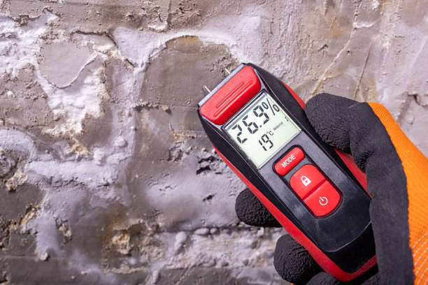 Best Mold Remediation Experts  in Alburtis, PA