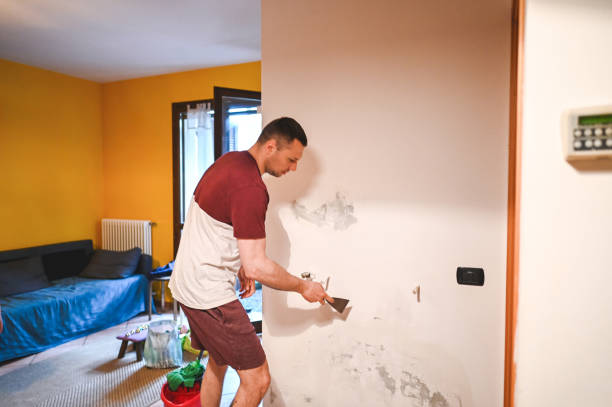 Best Crawl Space Mold Removal  in Alburtis, PA